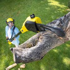 Best Lawn Mowing  in Bradford, RI