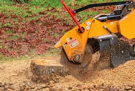 Lawn Maintenance Plans in Bradford, RI