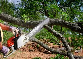 Best Weed Control  in Bradford, RI